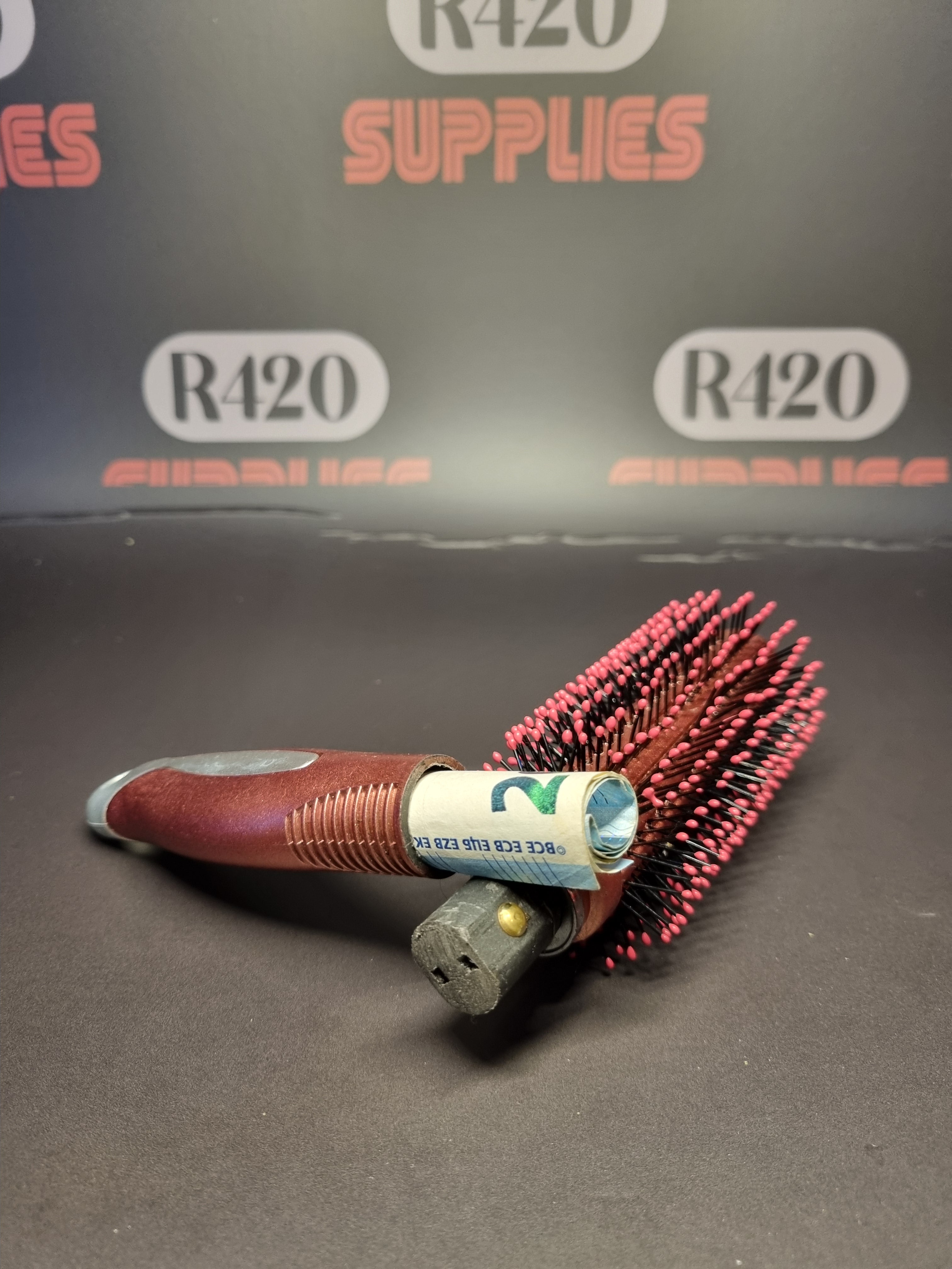 Hairbrush Safe / Stash