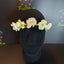 Boho Flower Crown Headband – 6 Colours Available