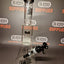 Best Buds - Double Chamber Matrix Perc Bong - 32cm