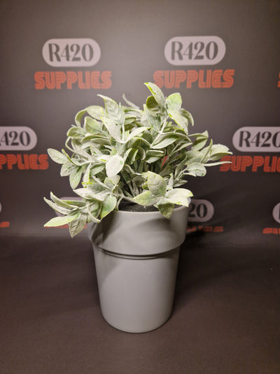 Buddies Flower Pot Safe