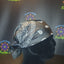 Classic Square Paisley Bandanas - Choice of Colours
