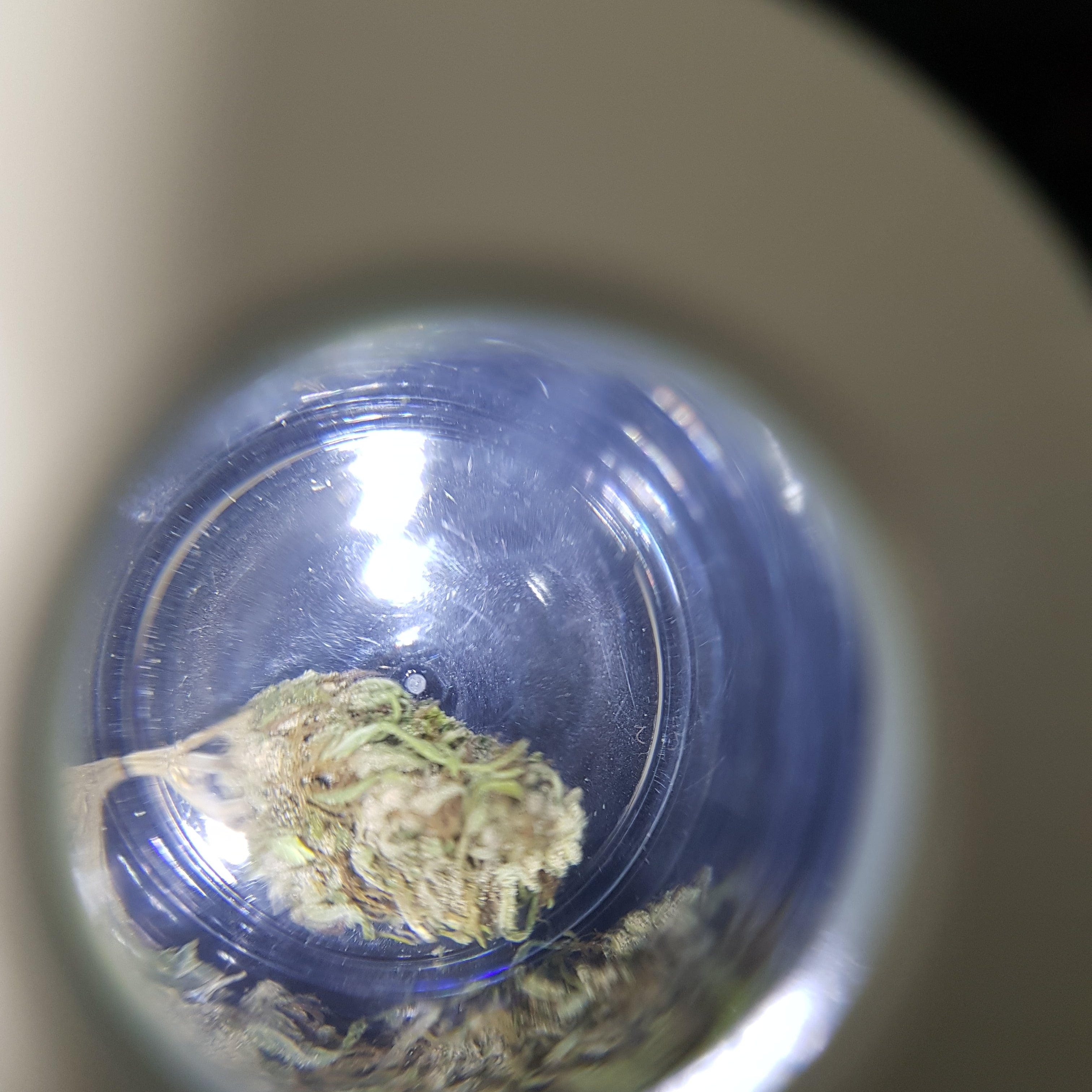 Best Buds Light Up Jar with Grinder and Pipe